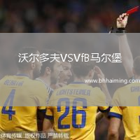 沃爾多夫VSVfB馬爾堡