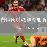 普拉德洪VS維勒加斯