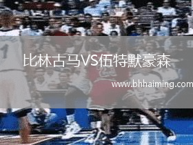 比林古馬VS伍特默豪森