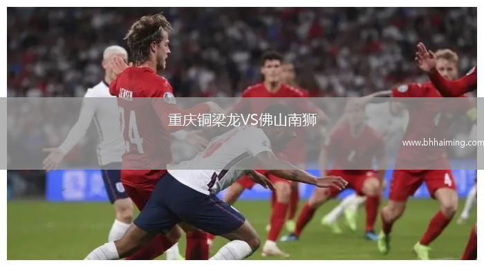 重慶銅梁龍VS佛山南獅