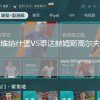維納什堡VS泰達(dá)赫姆斯高爾夫