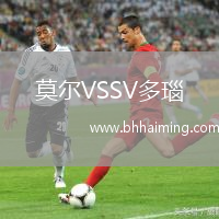 莫爾VSSV多瑙