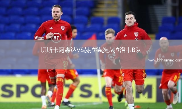 切斯卡阿森納VS赫拉德茨克拉洛韋B隊