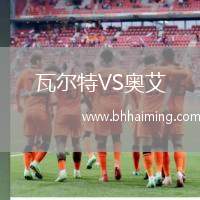 瓦爾特VS奧艾