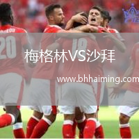 梅格林VS沙拜