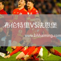 布倫特里VS法恩堡