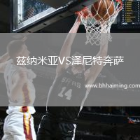 茲納米亞VS澤尼特奔薩