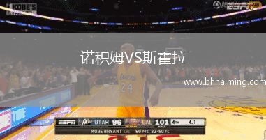 諾積姆VS斯霍拉