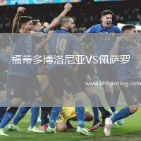 福蒂多博洛尼亞VS佩薩羅