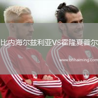 比內(nèi)海爾茲利亞VS霍隆夏普爾