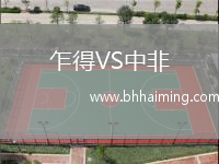 乍得VS中非