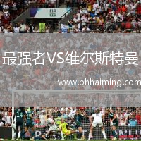 最強者VS維爾斯特曼