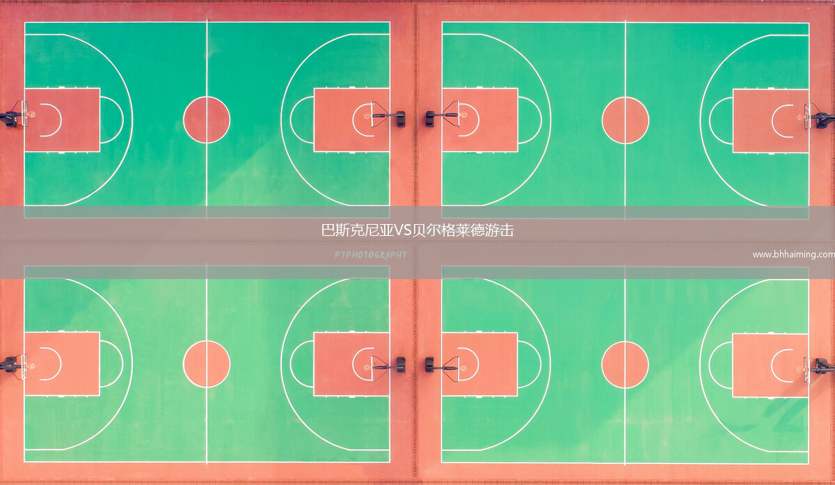 巴斯克尼亞VS貝爾格萊德游擊