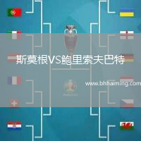 斯莫根VS鮑里索夫巴特