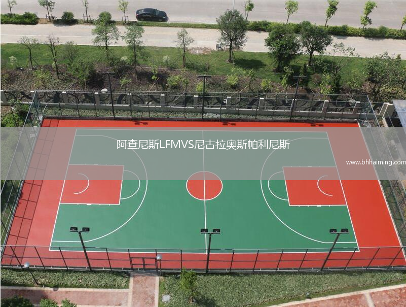 阿查尼斯LFMVS尼古拉奧斯帕利尼斯