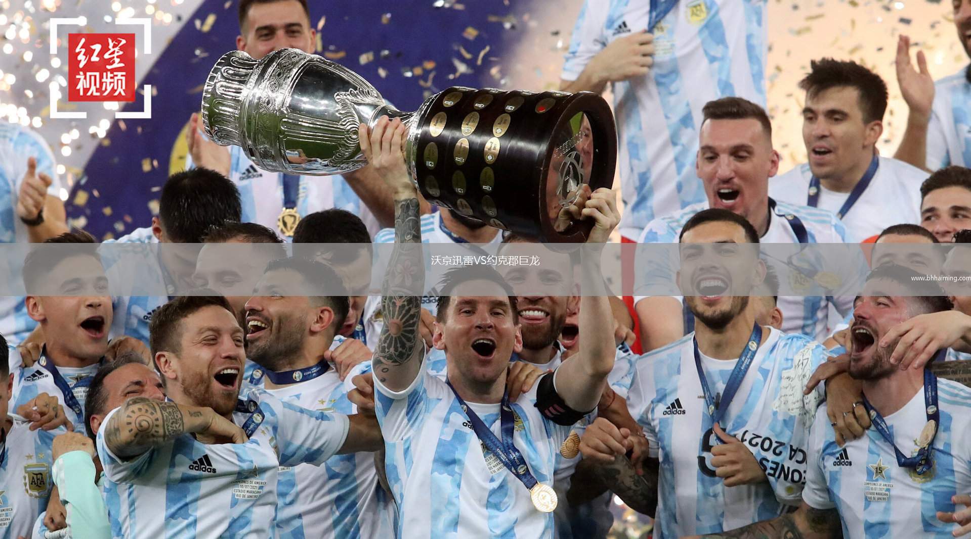 沃京迅雷VS約克郡巨龍