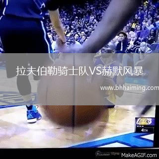 拉夫伯勒騎士隊VS赫默風(fēng)暴