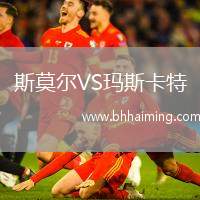 斯莫爾VS瑪斯卡特